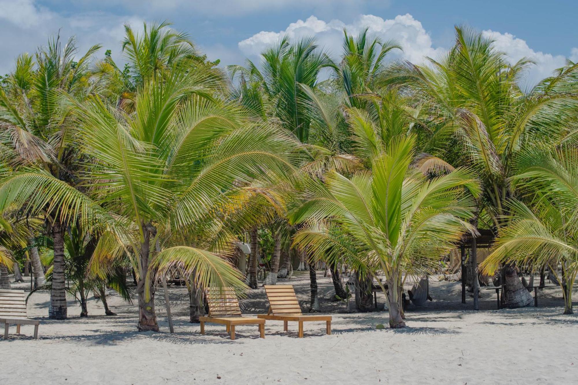 Manoush Beach Buritaca Εξωτερικό φωτογραφία